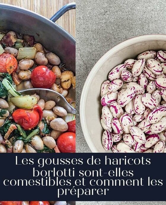 Les gousses de haricots borlotti sont-elles comestibles et comment les préparer