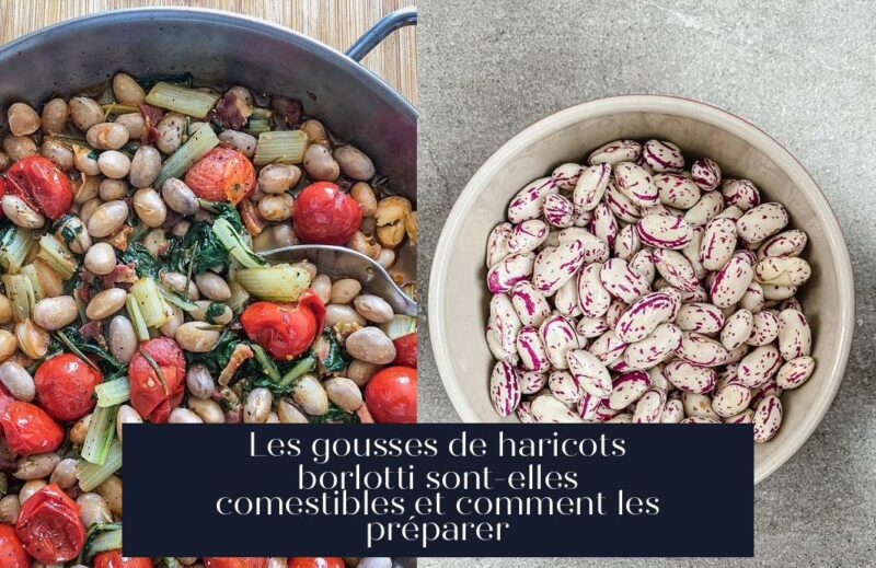 Les gousses de haricots borlotti sont-elles comestibles et comment les préparer