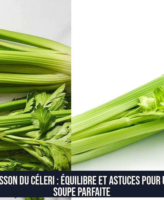 Cuisson du céleri : Équilibre et astuces pour une soupe parfaite