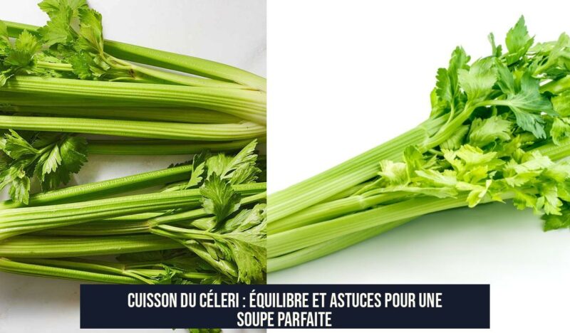Cuisson du céleri : Équilibre et astuces pour une soupe parfaite