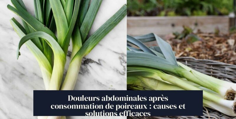 Douleurs abdominales après consommation de poireaux : causes et solutions efficaces