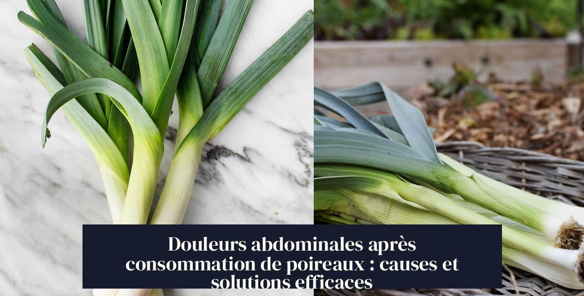 Douleurs abdominales après consommation de poireaux causes et — free download