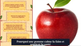 Pourquoi une pomme calme la faim et soutient la santé
