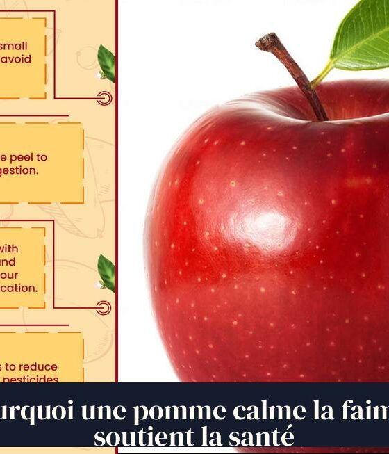 Pourquoi une pomme calme la faim et soutient la santé