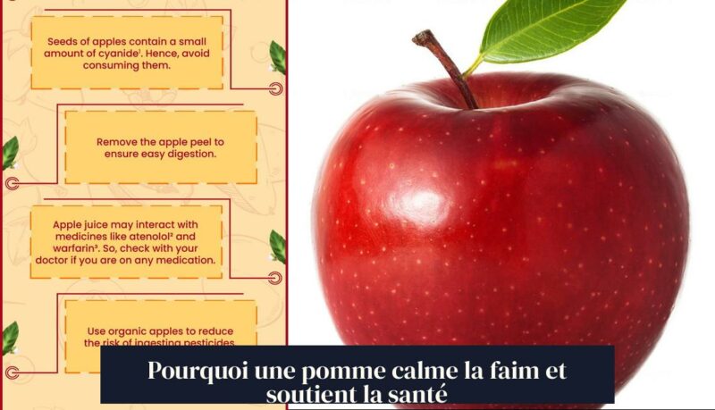 Pourquoi une pomme calme la faim et soutient la santé
