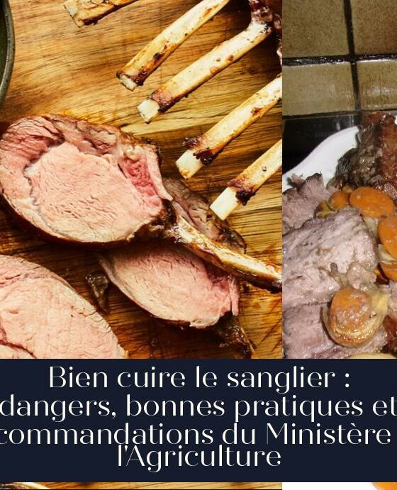 Bien cuire le sanglier : dangers, bonnes pratiques et recommandations du Ministère de l'Agriculture