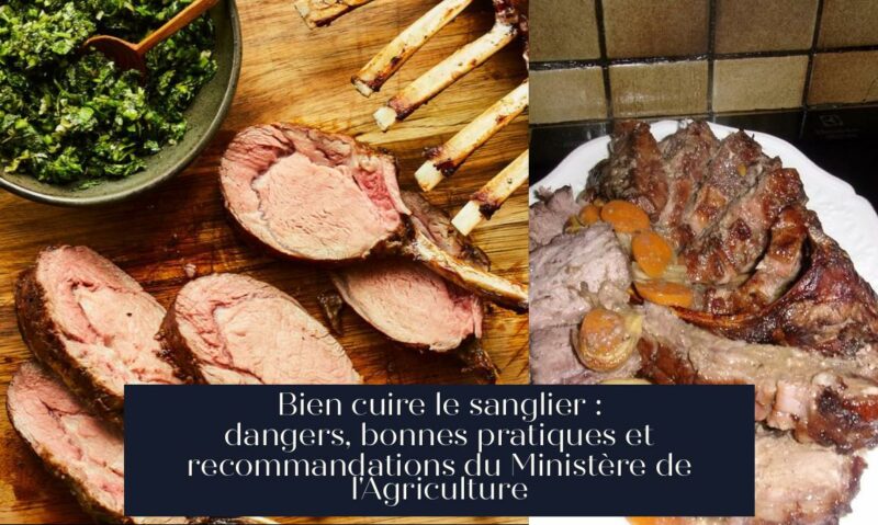 Bien cuire le sanglier : dangers, bonnes pratiques et recommandations du Ministère de l'Agriculture