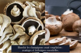 Blanchir les champignons avant congélation : avantages et techniques essentielles.