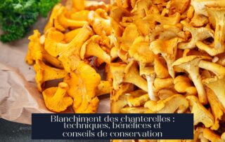 Blanchiment des chanterelles : techniques, bénéfices et conseils de conservation