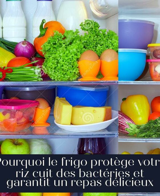Pourquoi le frigo protège votre riz cuit des bactéries et garantit un repas délicieux