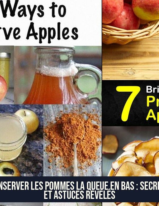Conserver les pommes la queue en bas : secrets et astuces révélés