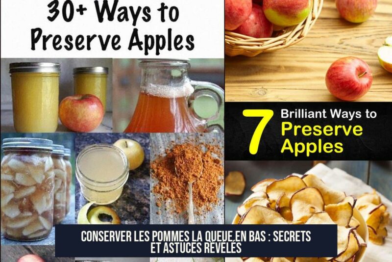 Conserver les pommes la queue en bas : secrets et astuces révélés