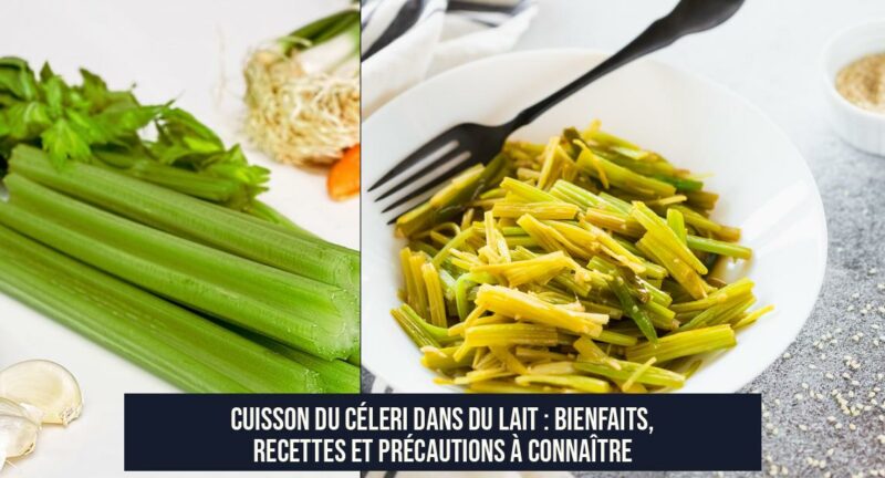 Cuisson du céleri dans du lait : bienfaits, recettes et précautions à connaître