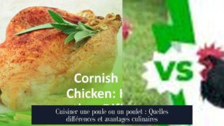 Cuisiner une poule ou un poulet : Quelles différences et avantages culinaires