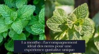 La menthe : l'accompagnement idéal des nems pour une expérience gustative unique
