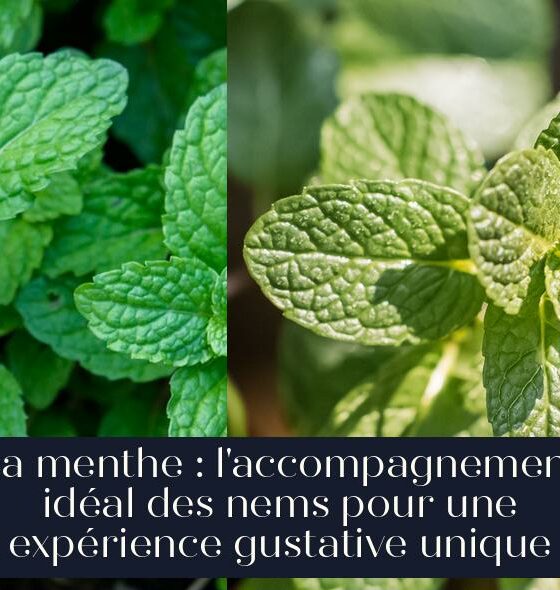 La menthe : l'accompagnement idéal des nems pour une expérience gustative unique