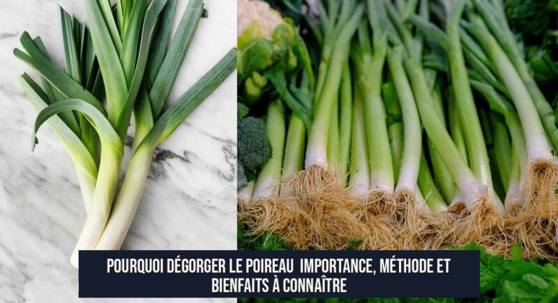 Pourquoi dégorger le poireau Importance, méthode et bienfaits à connaître