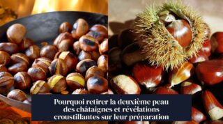 Pourquoi retirer la deuxième peau des châtaignes et révélations croustillantes sur leur préparation