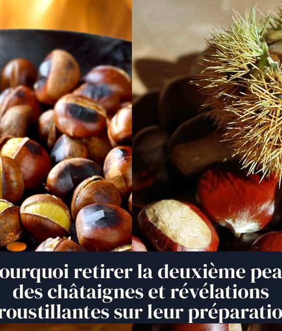Pourquoi retirer la deuxième peau des châtaignes et révélations croustillantes sur leur préparation