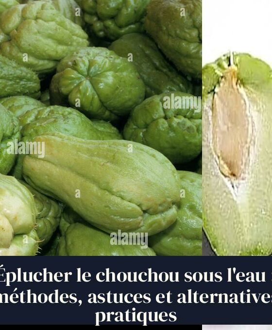 Éplucher le chouchou sous l'eau : méthodes, astuces et alternatives pratiques