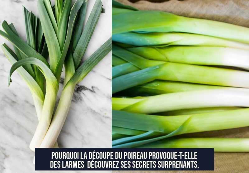 Pourquoi la découpe du poireau provoque-t-elle des larmes Découvrez ses secrets surprenants.