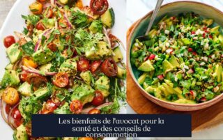 Les bienfaits de l'avocat pour la santé et des conseils de consommation