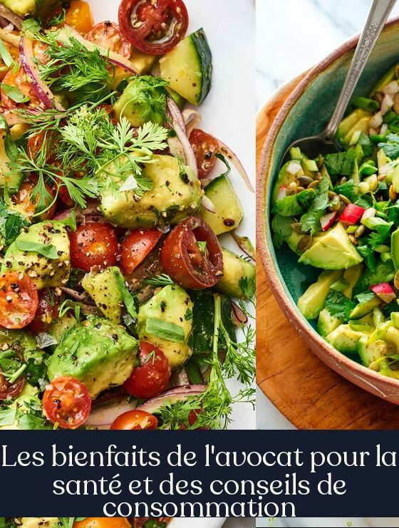 Les bienfaits de l'avocat pour la santé et des conseils de consommation