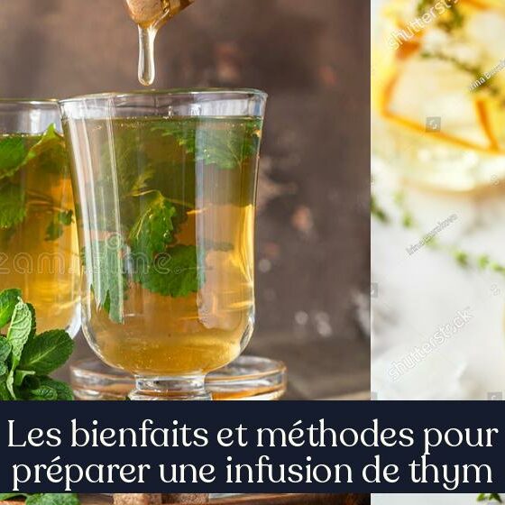 Les bienfaits et méthodes pour préparer une infusion de thym