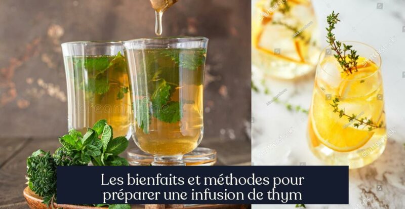 Les bienfaits et méthodes pour préparer une infusion de thym