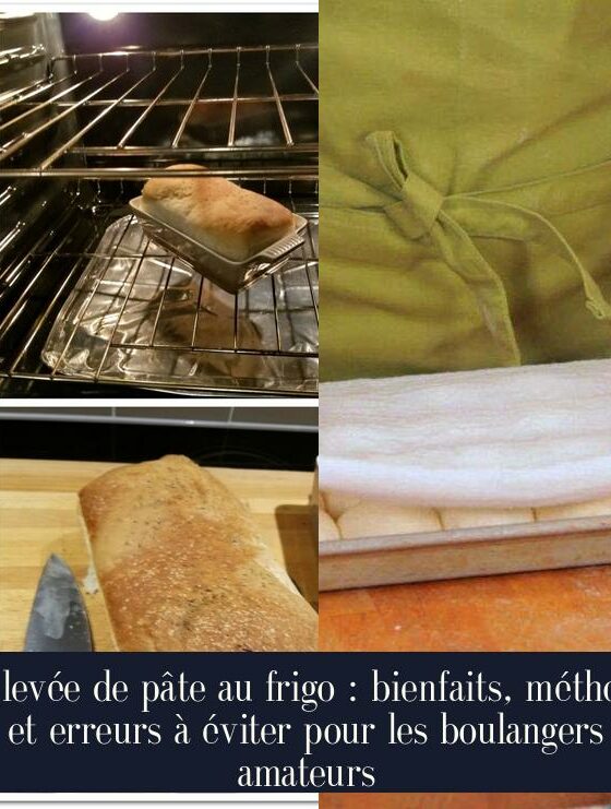 La levée de pâte au frigo : bienfaits, méthode et erreurs à éviter pour les boulangers amateurs