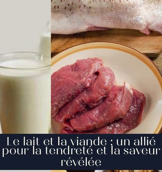 Le lait et la viande : un allié pour la tendreté et la saveur révélée