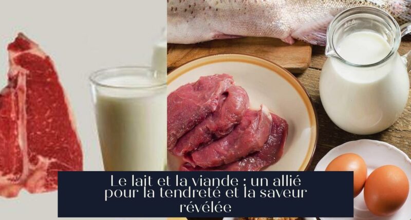 Le lait et la viande : un allié pour la tendreté et la saveur révélée