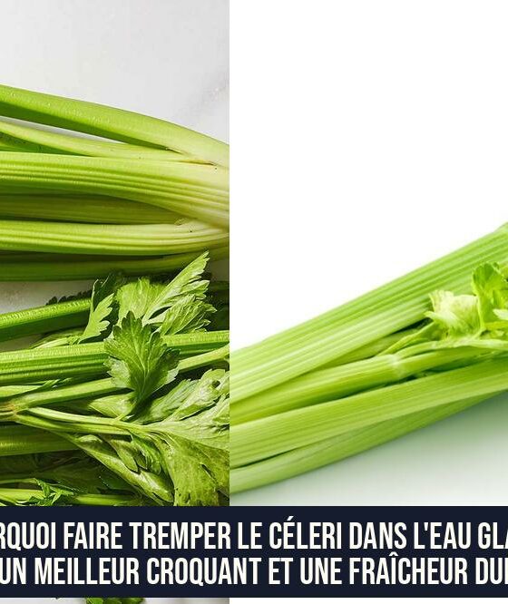 Pourquoi faire tremper le céleri dans l'eau glacée pour un meilleur croquant et une fraîcheur durable