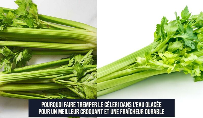 Pourquoi faire tremper le céleri dans l'eau glacée pour un meilleur croquant et une fraîcheur durable