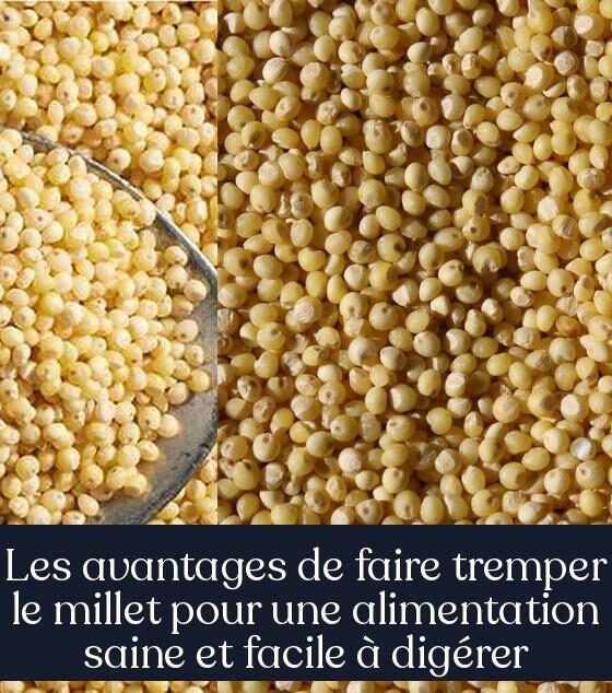 Les avantages de faire tremper le millet pour une alimentation saine et facile à digérer