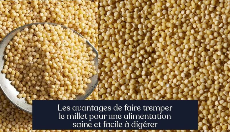 Les avantages de faire tremper le millet pour une alimentation saine et facile à digérer
