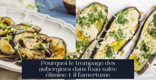 Pourquoi le trempage des aubergines dans l'eau salée élimine-t-il l'amertume