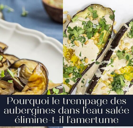 Pourquoi le trempage des aubergines dans l'eau salée élimine-t-il l'amertume