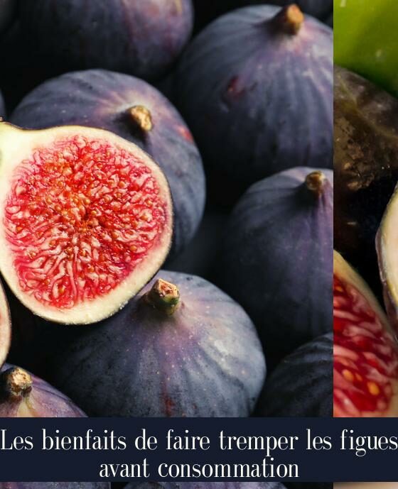 Les bienfaits de faire tremper les figues avant consommation