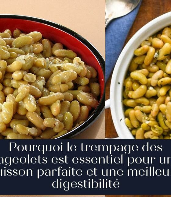 Pourquoi le trempage des flageolets est essentiel pour une cuisson parfaite et une meilleure digestibilité