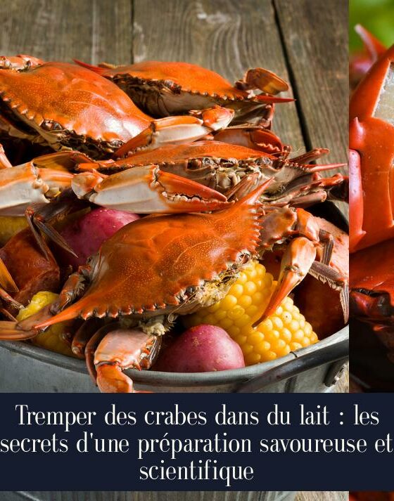 Tremper des crabes dans du lait : les secrets d'une préparation savoureuse et scientifique