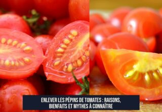 Enlever les pépins de tomates : raisons, bienfaits et mythes à connaître
