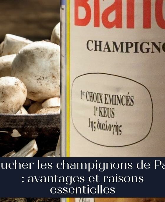 Éplucher les champignons de Paris : avantages et raisons essentielles