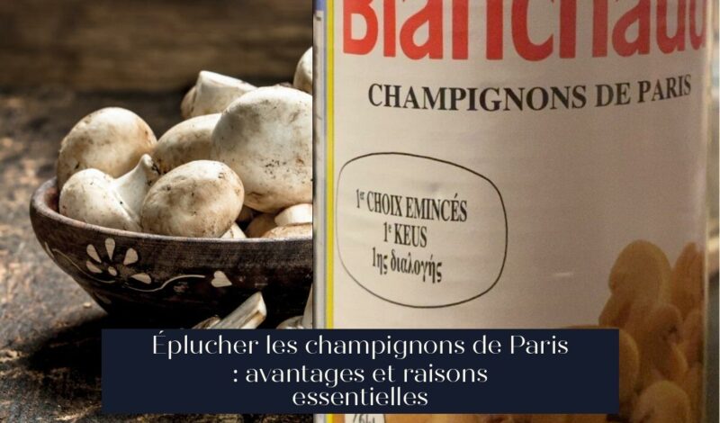 Éplucher les champignons de Paris : avantages et raisons essentielles