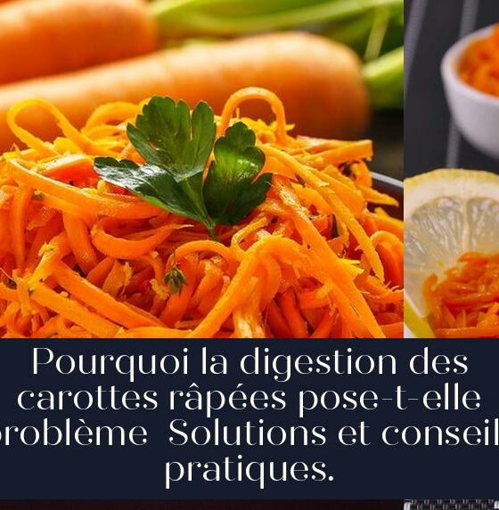 Pourquoi la digestion des carottes râpées pose-t-elle problème Solutions et conseils pratiques.