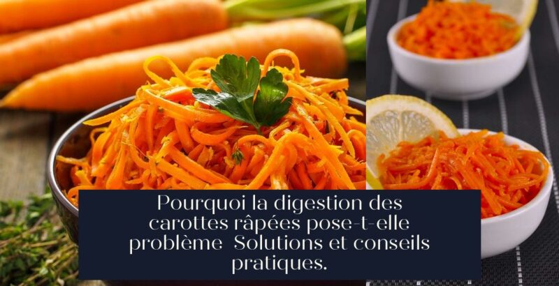Pourquoi la digestion des carottes râpées pose-t-elle problème Solutions et conseils pratiques.