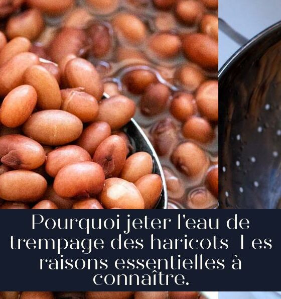 Pourquoi jeter l'eau de trempage des haricots Les raisons essentielles à connaître.