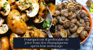 Pourquoi est-il préférable de jeter l'eau des champignons après leur nettoyage