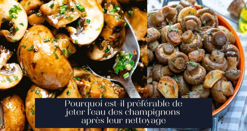 Pourquoi est-il préférable de jeter l'eau des champignons après leur nettoyage