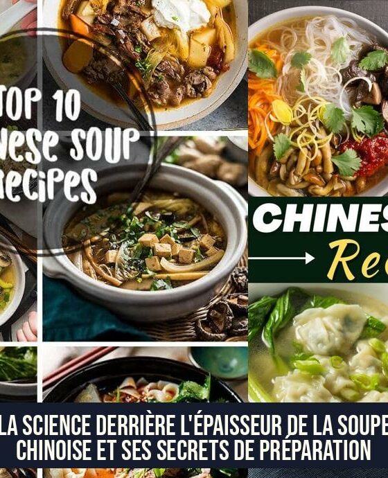 La science derrière l'épaisseur de la soupe chinoise et ses secrets de préparation